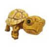 Betta Tortoise Decor